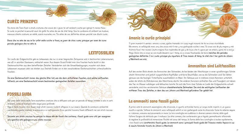 Ammonites, Ammoniti, Ammoniten