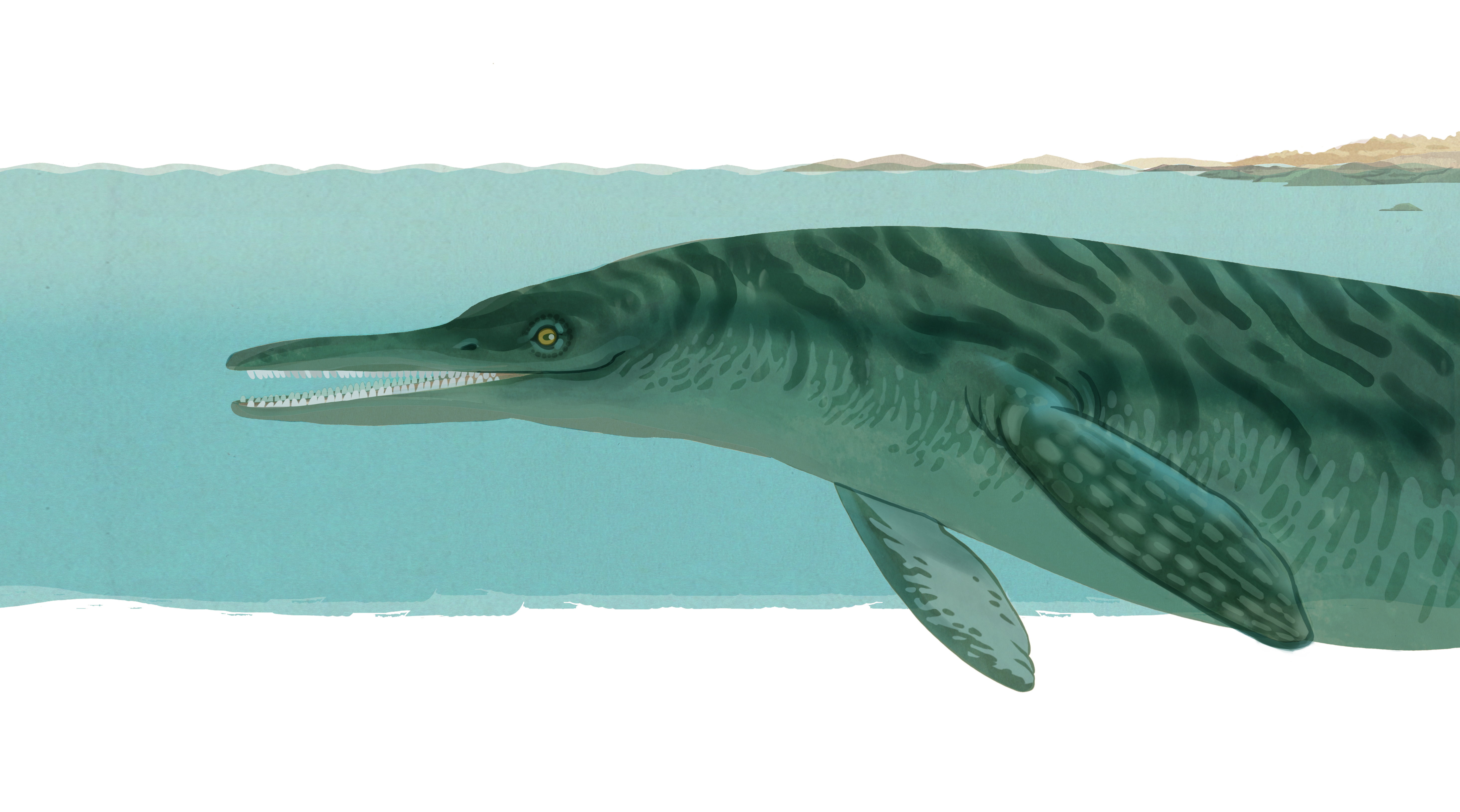 L itiosaur de Secëda, archaëa